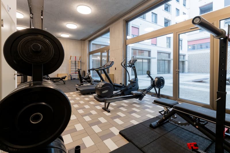 Neue 3 ½ Zimmer Wohnung an zentraler Lage (10)