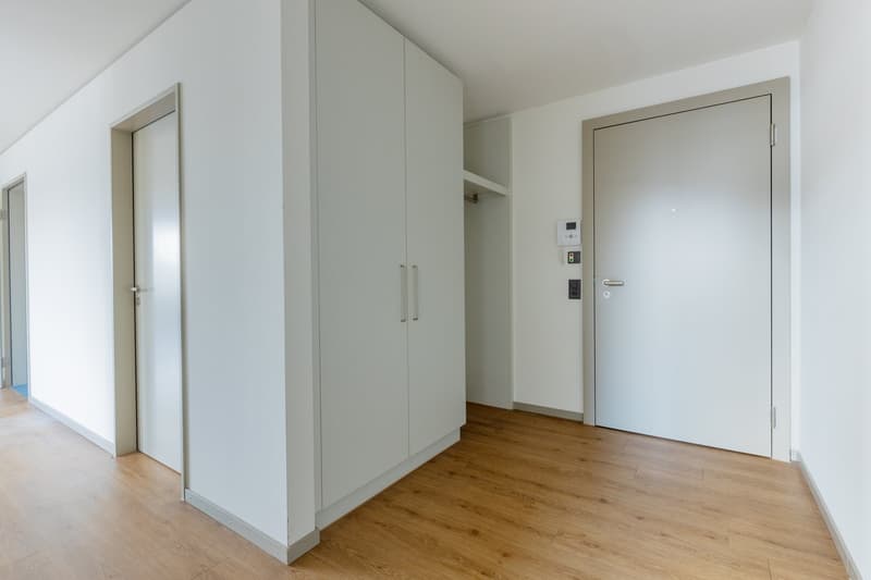 Neue 3 ½ Zimmer Wohnung an zentraler Lage (3)