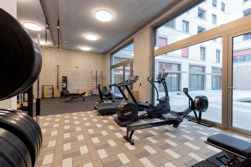 Neue 3 ½ Zimmer Wohnung an zentraler Lage (11)