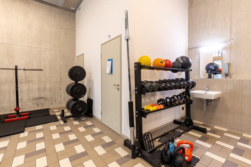 Neue 3 ½ Zimmer Wohnung an zentraler Lage (13)