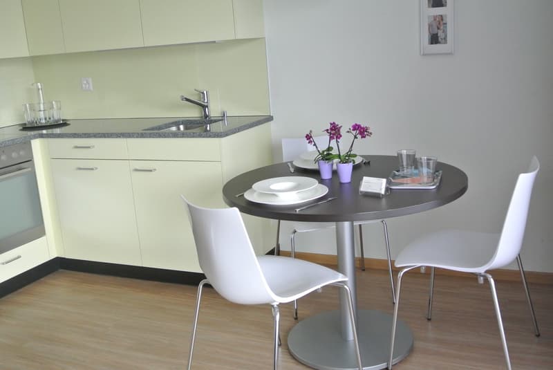 schöne, helle 1 ½   Zimmer Wohnung (5)