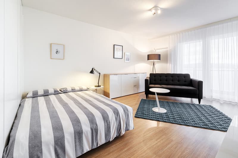 schöne, helle 1 ½   Zimmer Wohnung (2)