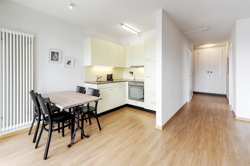 schöne, helle 1 ½   Zimmer Wohnung (3)