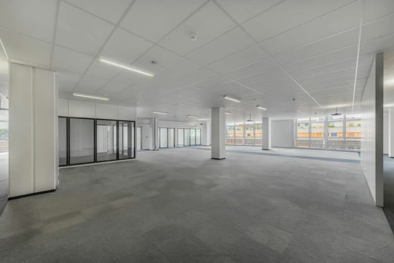 Spazio ufficio flessibile a Dietikon (2)
