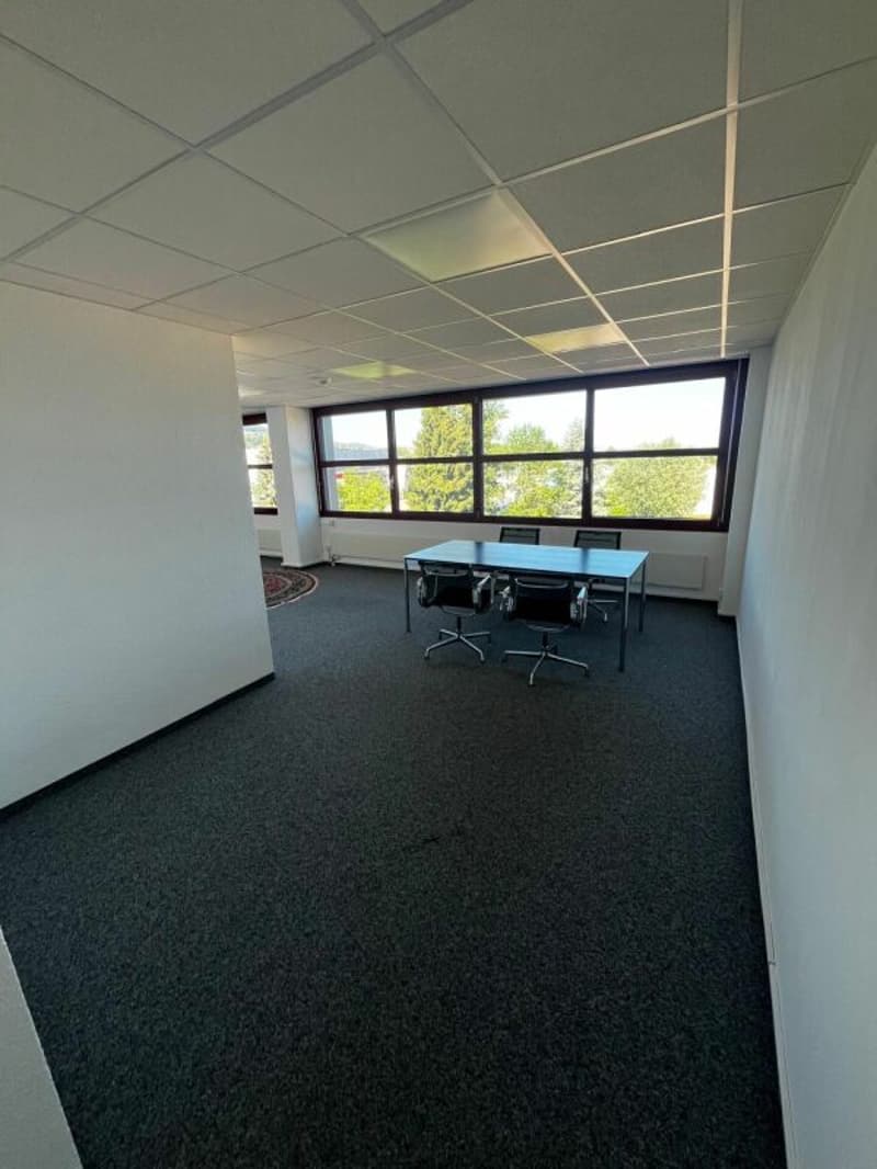 61 m² office in Staad (3)