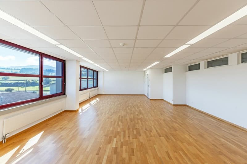 Representative office in Staad (1)