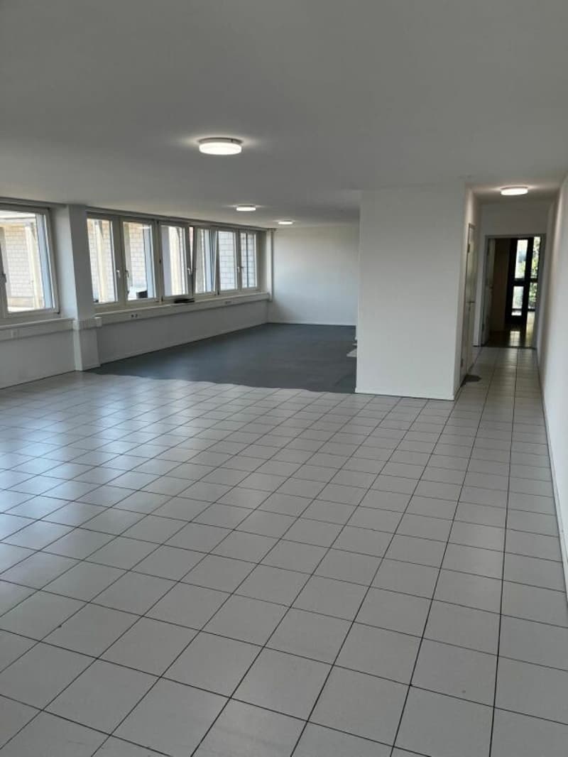 Bright office with private balcony and WC (5)