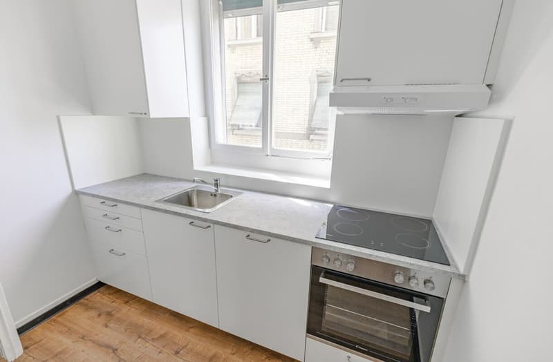 4 Bedroom Apartment with Charm in St. Gallen for Rent (10)