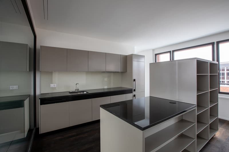 Modern, minimalist kitchen with gray cabinets, black countertops, built-in appliances including a dishwasher, and large windows providing natural light.