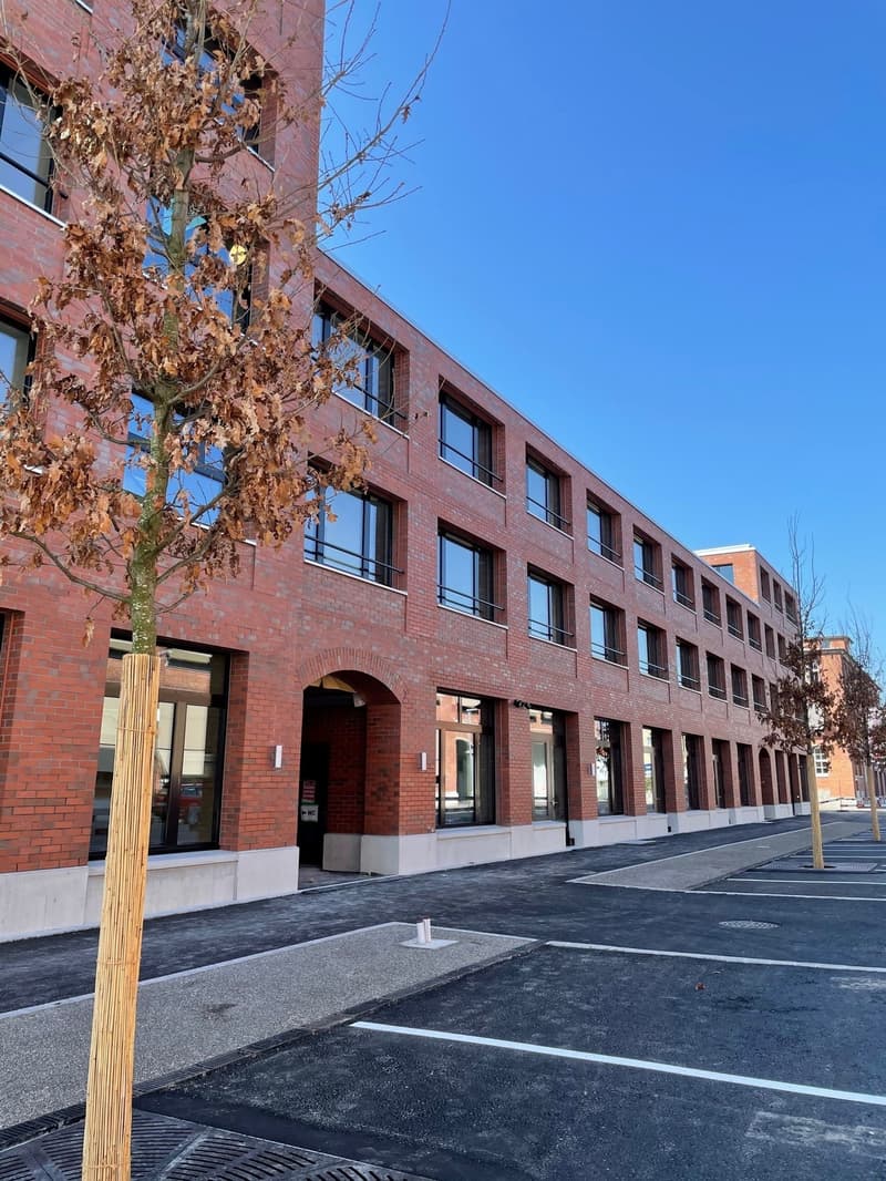 Red brick building, glass windows, modern design, multiple doors, empty parking lot, a tree in front