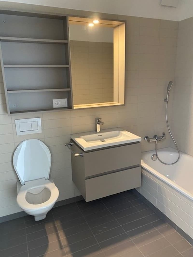 modern bathroom, toilet, white sink, bathtub, shower, shelves, mirror