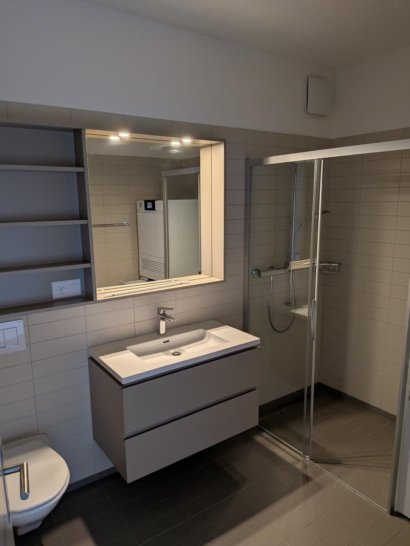 Exklusiver Wohnkomfort mit Seesicht – 4½ Zimmer & gratis Wellness (9)