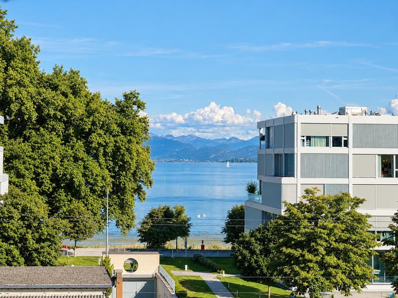 Bodensee mit Bergpanorama