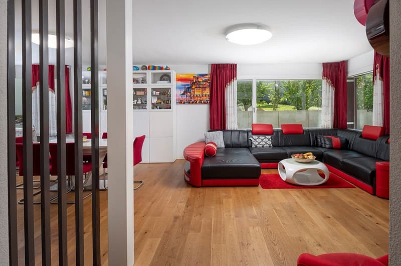 Maison unifamiliale moderne (3)