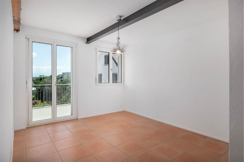 House with a 3½ and a 2½-room apartment with a lake view (8)