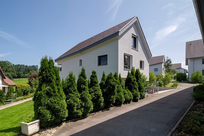 Modernes Einfamilienhaus (1)