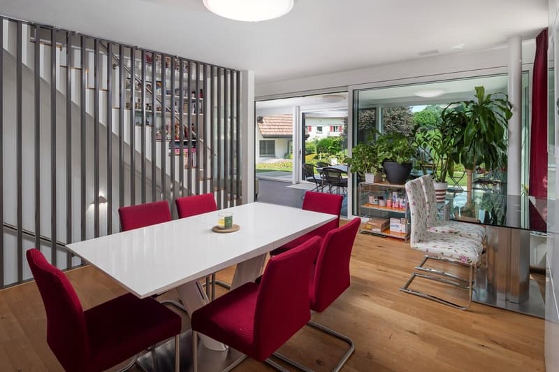 Modernes Einfamilienhaus (4)
