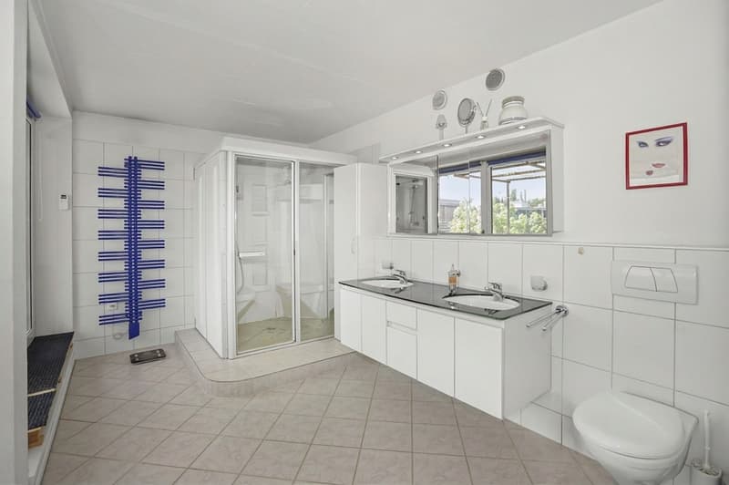 Grosse 4½- Zimmer Attika / Loft (7)
