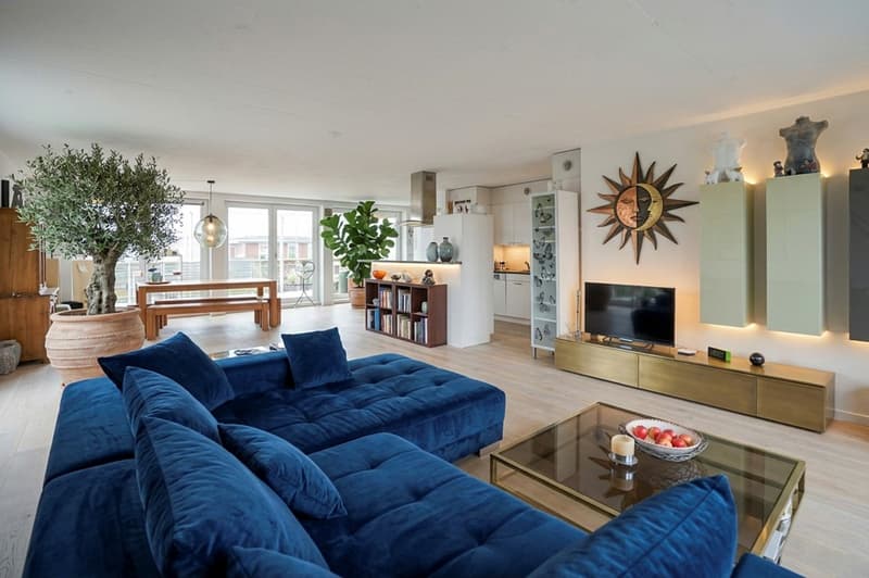 Grosse 4½- Zimmer Attika / Loft (1)