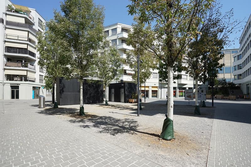 2½-Zimmer EG-Wohnung im beliebten "Glasi-Quartier" in Bülach (10)
