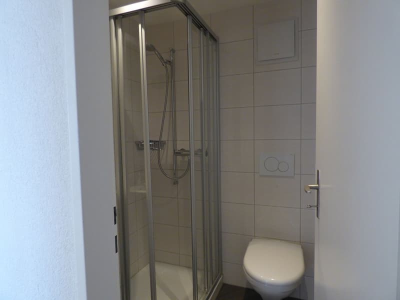 Spacious 4.5-room apartment with balcony and panoramic view in Rüti ZH (10)