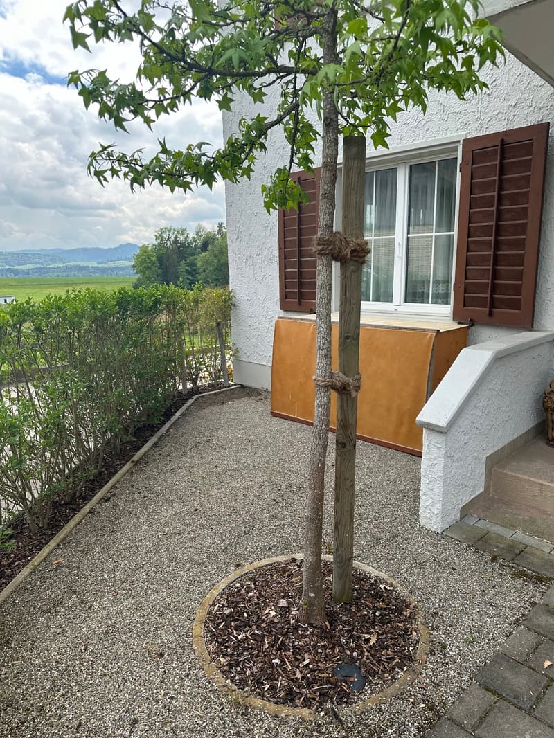 Ampio 2.5 locali con parcheggio a Halingen Matzingen (3)
