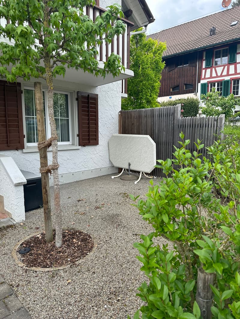 Ampio 2.5 locali con parcheggio a Halingen Matzingen (2)