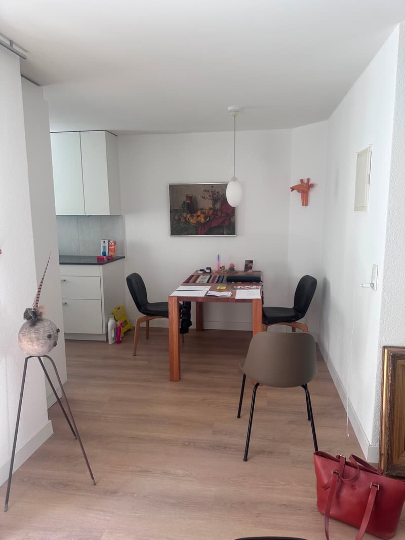 komplett sanierte Altbauwohnung mit viel Charme an ruhiger Lage (3)