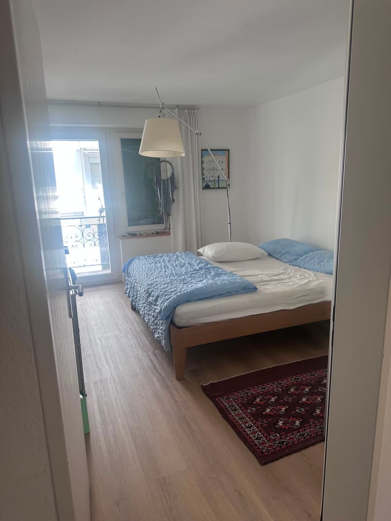 komplett sanierte Altbauwohnung mit viel Charme an ruhiger Lage (4)