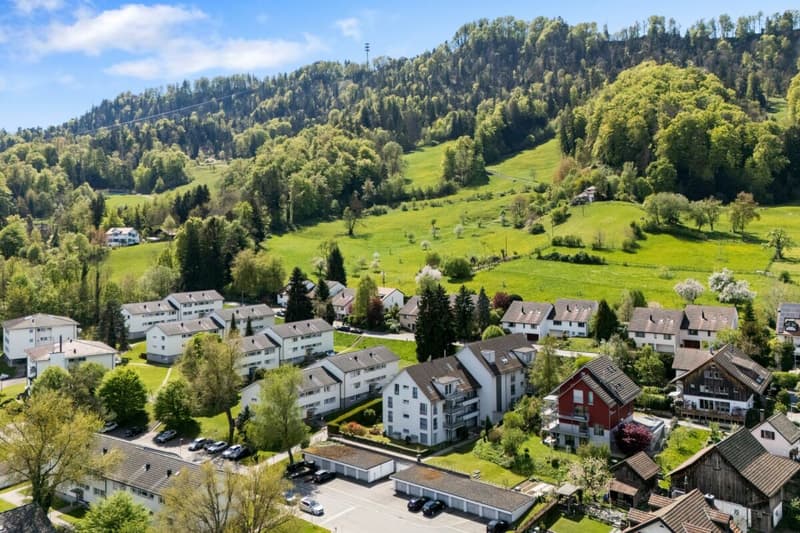 Wunderschöne naturnahe 5.5-Zimmer-Gartenwohnung (3)