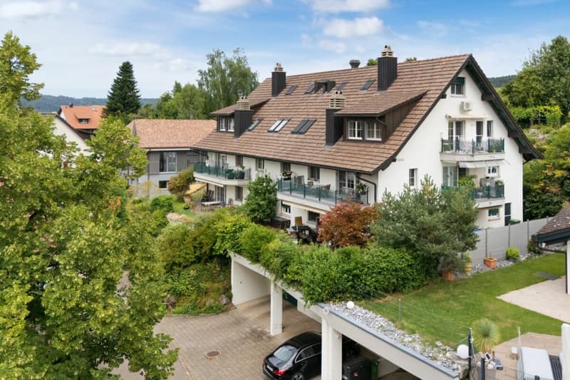 Renovierte Maisonette im Grünen mit Aussicht auf den Pfäffikersee und die Alpen (1)