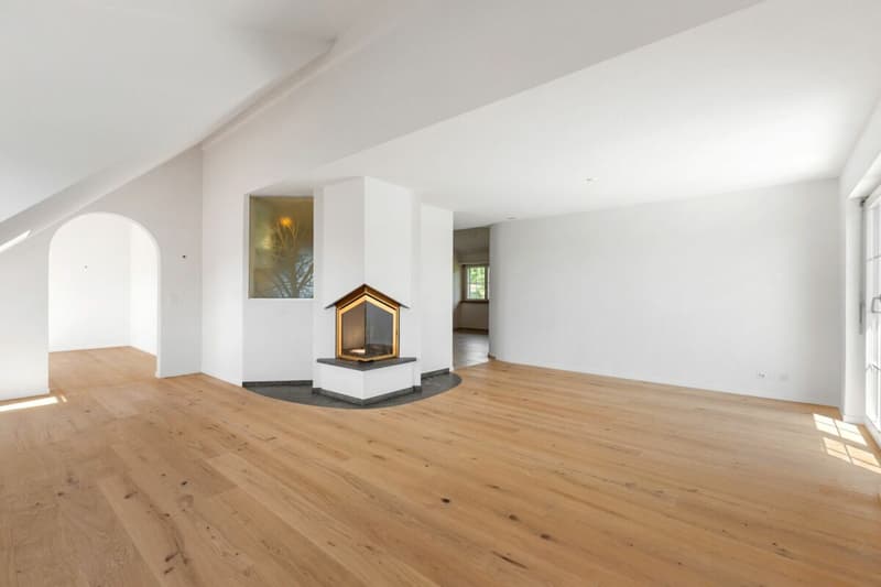 Renovierte Maisonette im Grünen mit Aussicht auf den Pfäffikersee und die Alpen (9)