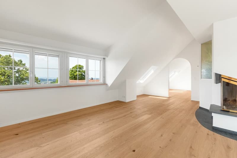 Renovierte Maisonette im Grünen mit Aussicht auf den Pfäffikersee und die Alpen (4)