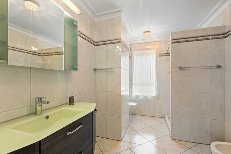 Gepflegte 3.5-Zimmerwohnung mit grossem sonnigem Balkon (7)