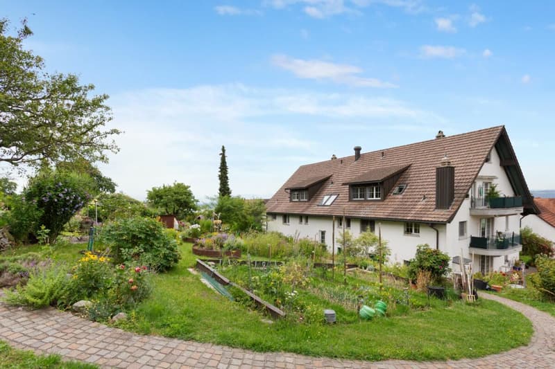 Renovierte Maisonette im Grünen mit Aussicht auf den Pfäffikersee und die Alpen (3)