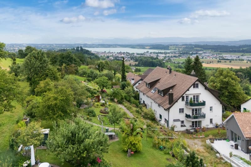 Renovierte Maisonette im Grünen mit Aussicht auf den Pfäffikersee und die Alpen (1)