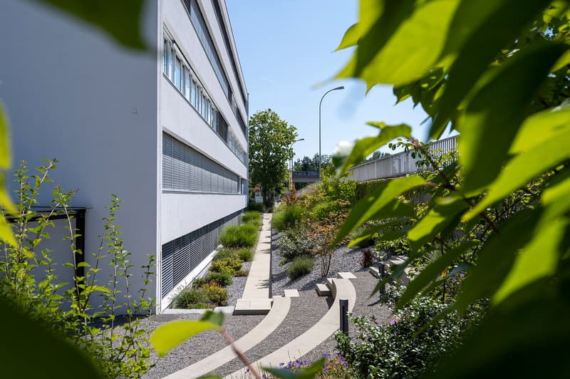 A modern, multi-story building with large windows and a landscaped garden area in the foreground. The building has a gray exterior and the garden features various plants and a paved walkway.