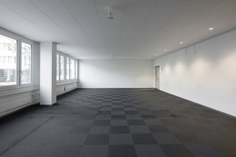 Empty room with grey floor, white walls, large windows, and a single door.