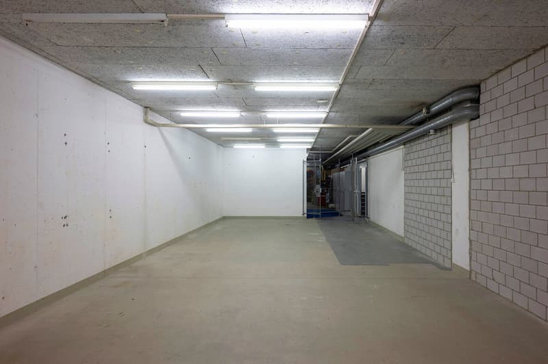 Magazzino centrale a Wettingen (6)