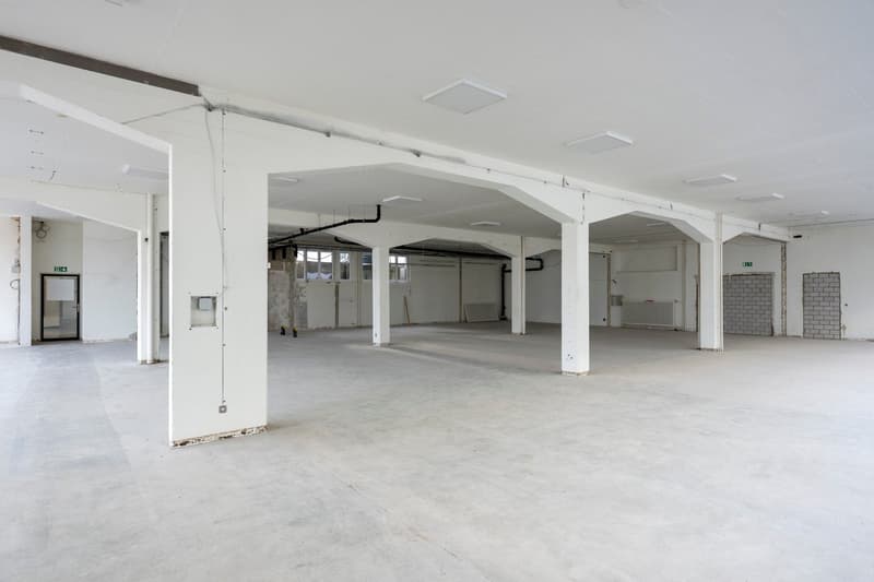 wide open warehouse room, white pillars, empty floor, unfinished area, square ceiling panels