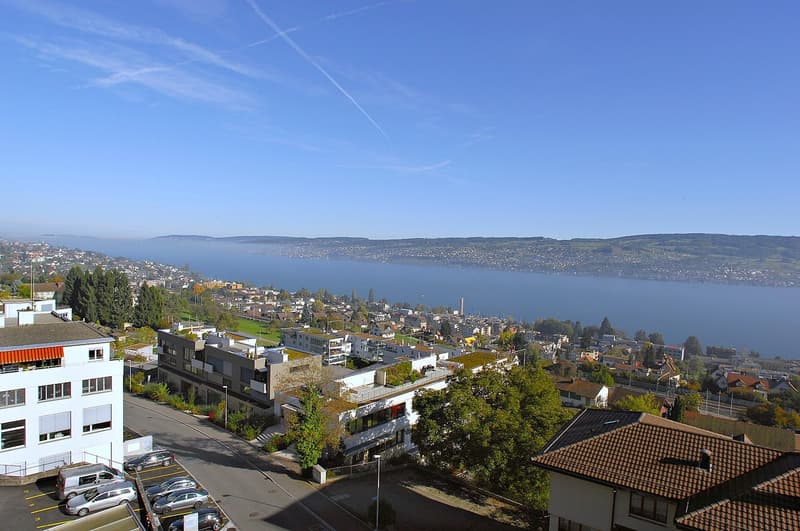 Posizione top: Ufficio con vista sul lago (9)