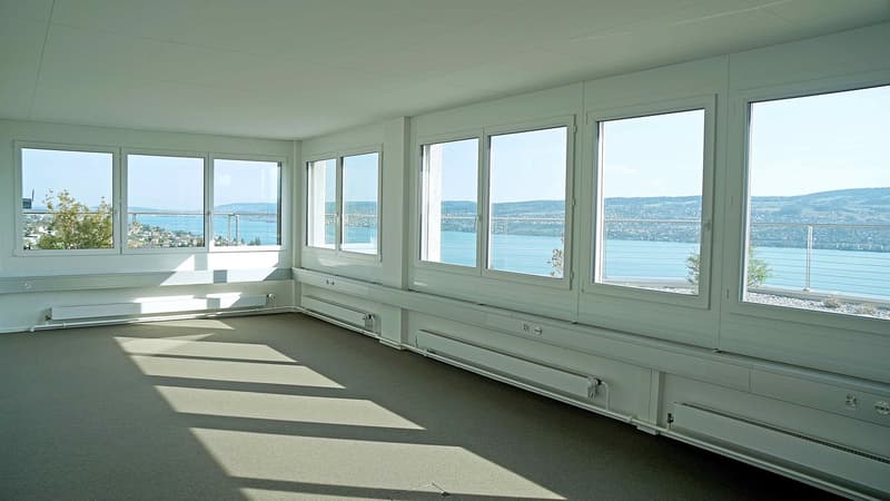 Posizione top: Ufficio con vista sul lago (2)