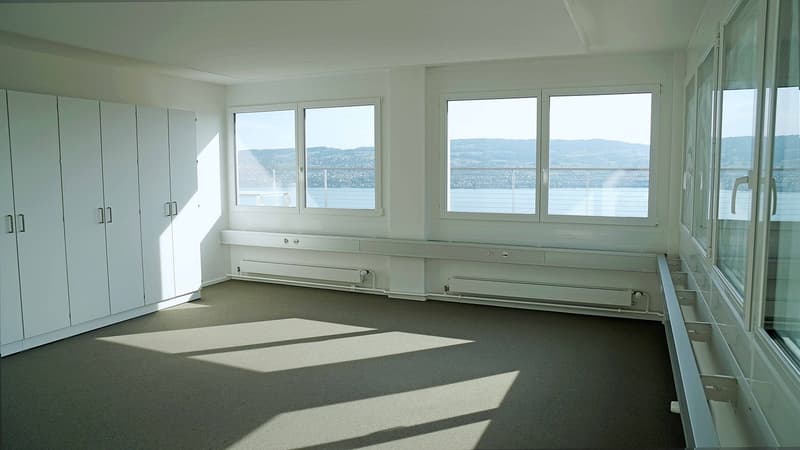 Posizione top: Ufficio con vista sul lago (3)