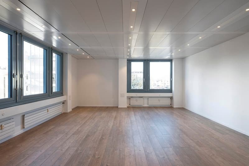 Open room with wooden floor, large windows, no furniture