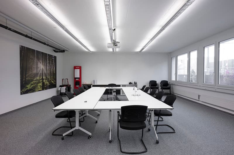 large meeting room with long table and chairs, windows, white walls, ceiling lights