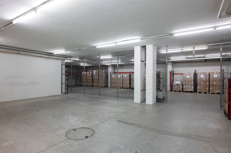 spacious warehouse, concrete floor, fluorescent lighting, metal gates, metal shelves, boxes stacked on pallets, storage area