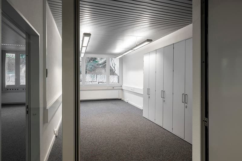 empty room, white walls, grey carpet, windows, white cabinets, fluorescent lighting