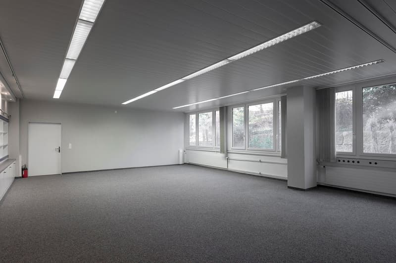 an empty room with gray carpeting, white walls, ceiling lights, windows, a door, and a fire extinguisher