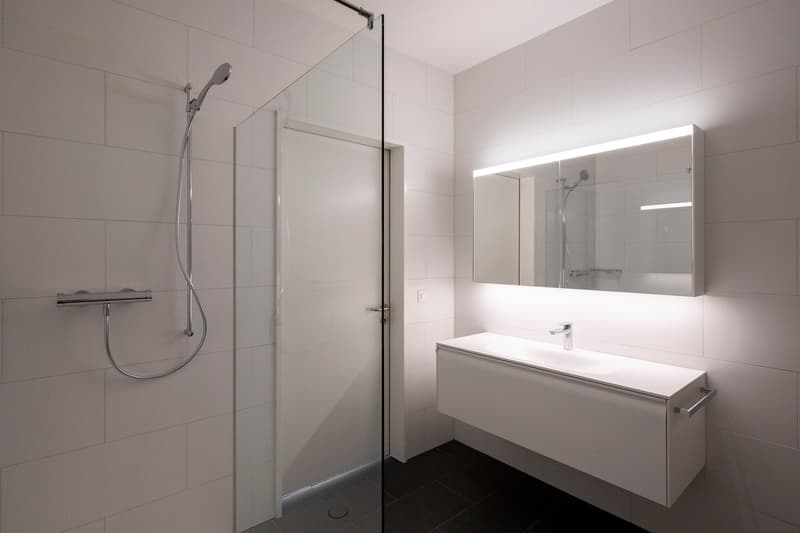 white tiles, glass shower door, sink, mirror, shower head, shower hose