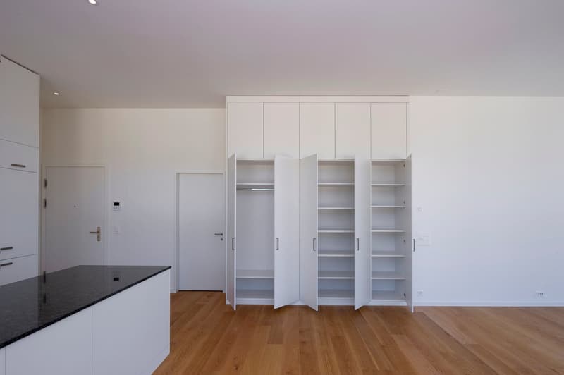 Empty room with white cupboards, wooden floor, white walls, black countertop, and modern interior design.
